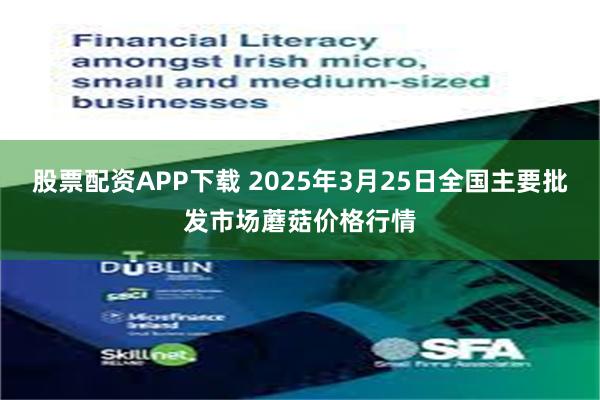 股票配资APP下载 2025年3月25日全国主要批发市场蘑菇价格行情