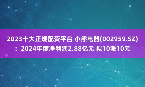 2023十大正规配资平台 小熊电器(002959.SZ)：2024年度净利润2.88亿元 拟10派10元